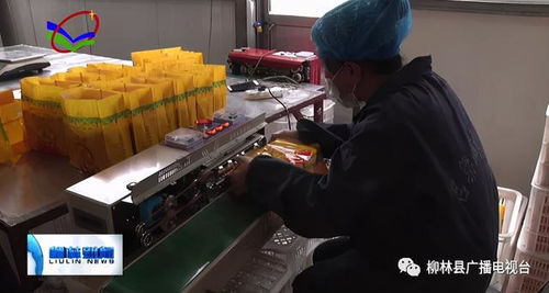 柳林天王農(nóng)產(chǎn)品農(nóng)民專業(yè)合作社學(xué)會(huì)服務(wù)站揭牌暨消毒服務(wù)啟動(dòng)儀式圓滿舉行